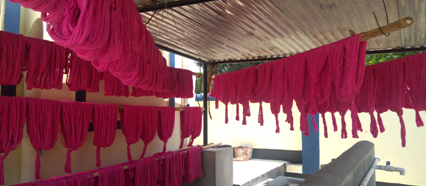 Dyeing Unit